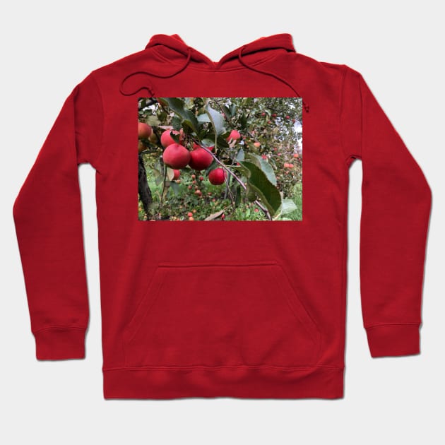 Apple Branch in the Apple Orchard Hoodie by Humerushumor